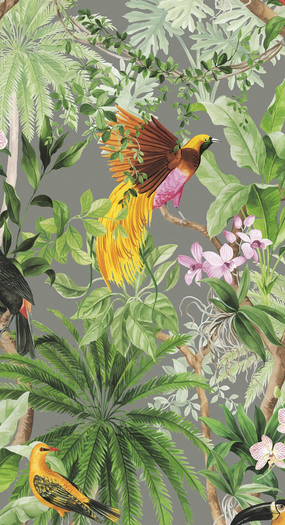 Seabrook Tropical Bird Grey Wallpaper