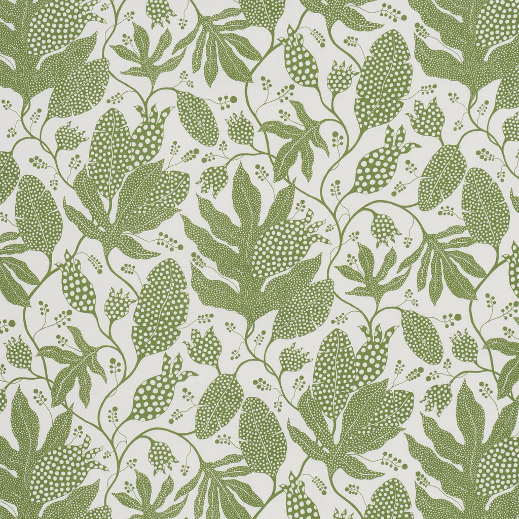 Schumacher Polka Dot Jungle Green & Ivory Wallpaper