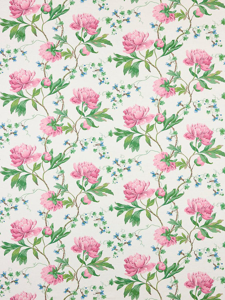 Scalamandre Isadora Print Petal Fabric