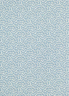 Sanderson Truffle Pacific Fabric