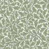 A-Street Prints Hidden Treasures Oak Tree Green Wallpaper