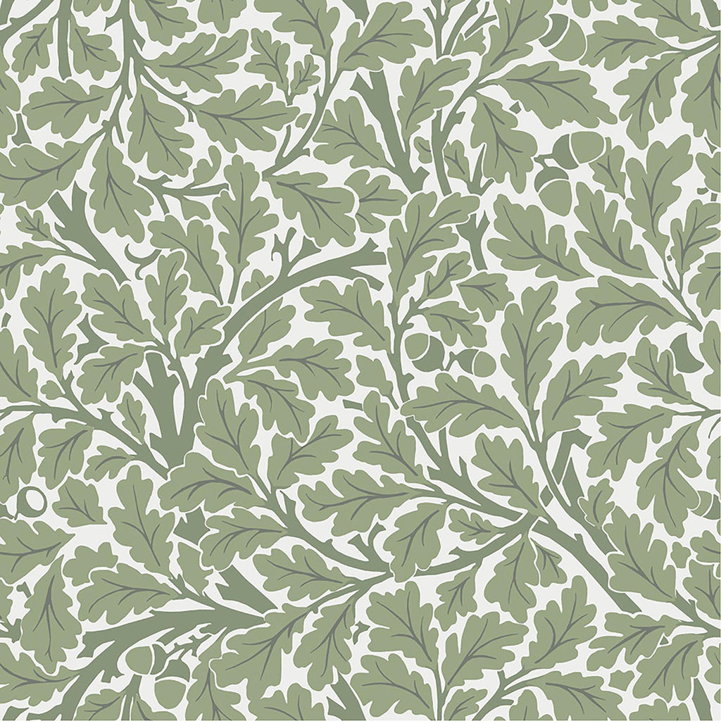 A-Street Prints Oak Tree Green Leaf Wallpaper