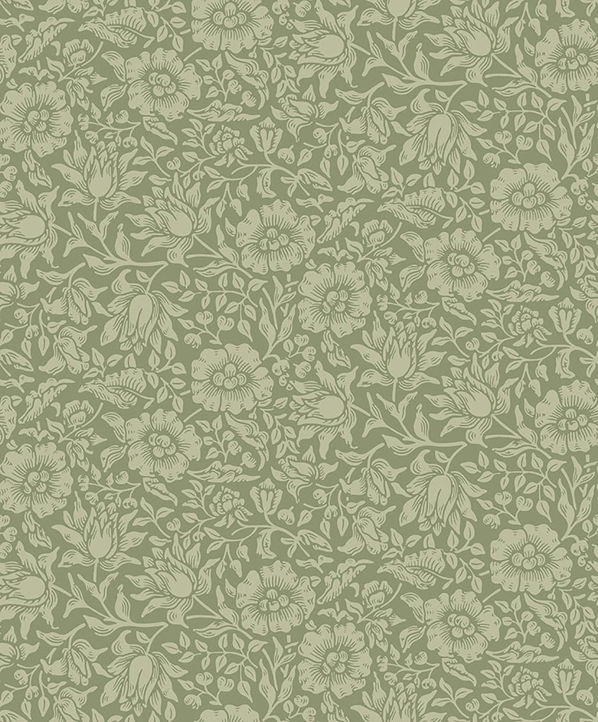 A-Street Prints Mallow Green Floral Vine Wallpaper