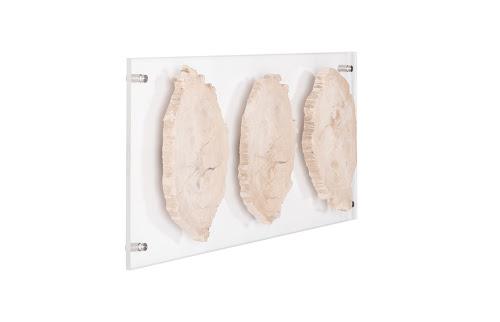 Phillips Collection Floating Petrified Triple Slice Brown Wall Art