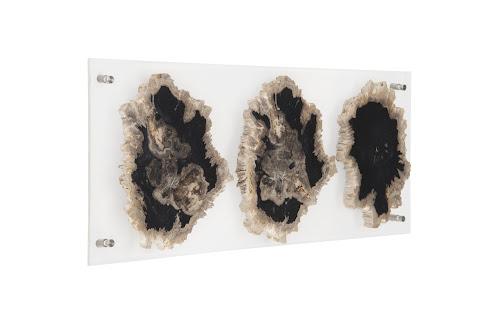 Phillips Collection Floating Petrified Triple Slice Brown Wall Art