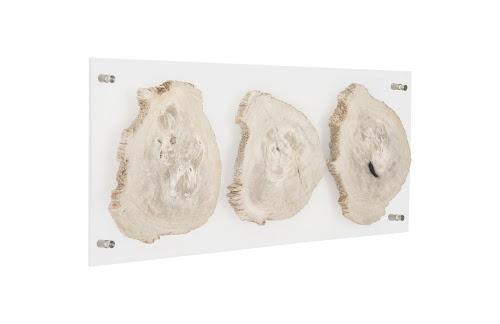 Phillips Collection Floating Petrified Triple Slice Brown Wall Art