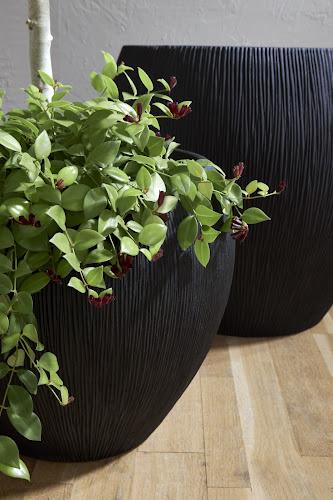 Phillips Collection Filament Black SM Planter