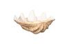 Phillips Collection Cast Clam Shell , Faux Finish, Sm Beige Bowl