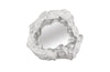 Phillips Collection Rock Pond Silver Leaf Mirror