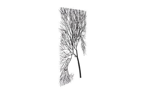 Phillips Collection Wire Tree Rectangular Metal Black Wall Art