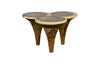 Phillips Collection Marley Natural Coffee Table