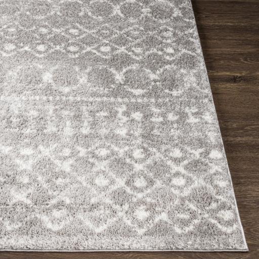 Surya Aliyah Shag ALH-2304 Cream Gray 5'3" x 7'3" Rug