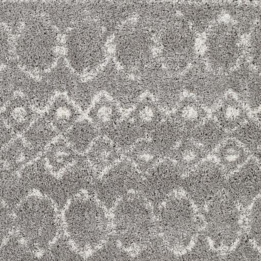 Surya Aliyah Shag ALH-2304 Cream Gray 5'3" x 7'3" Rug