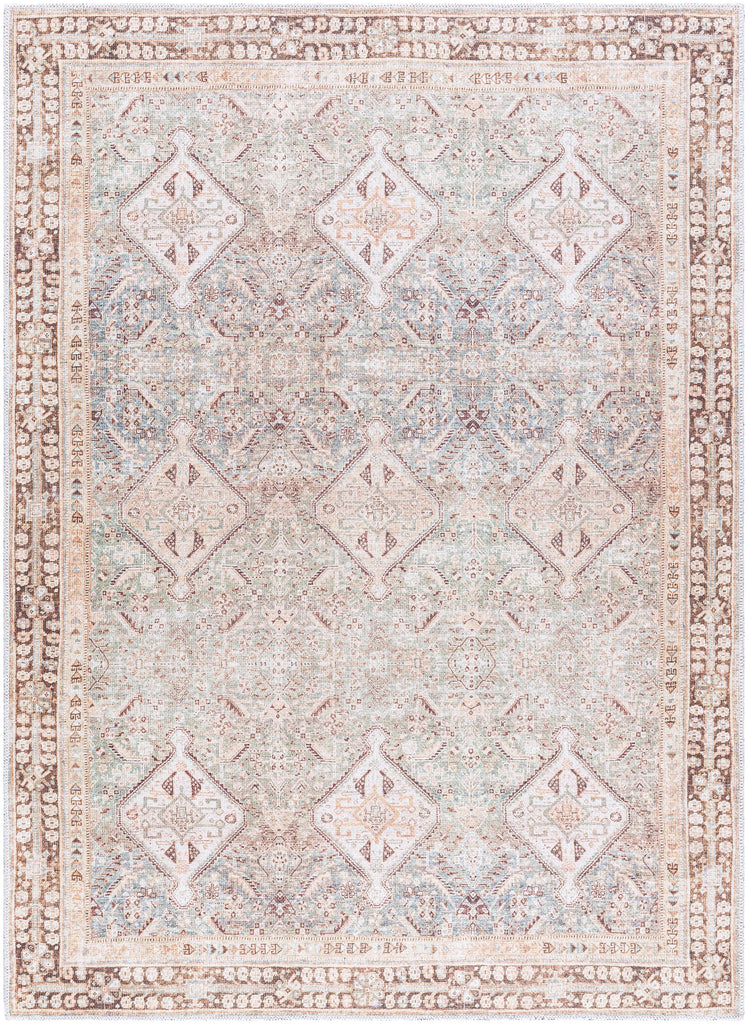 Surya Amelie AML-2394 Brown Dark Brown 2' x 2'11" Rug