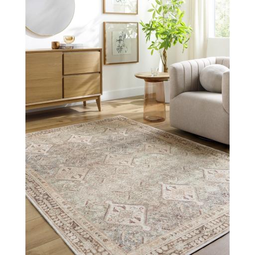 Surya Amelie AML-2394 Brown Dark Brown 2' x 2'11" Rug