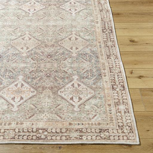 Surya Amelie AML-2394 Brown Dark Brown 2' x 2'11" Rug