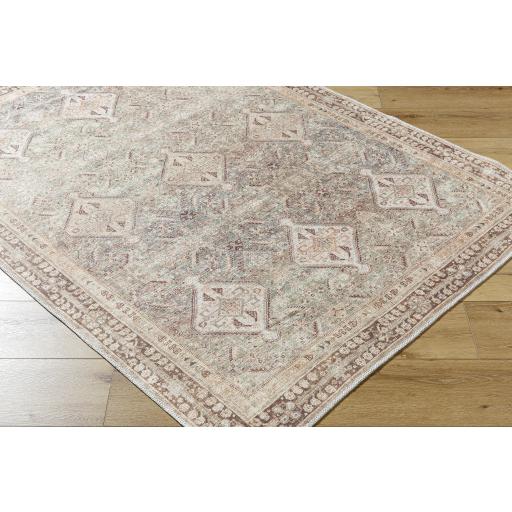 Surya Amelie AML-2394 Brown Dark Brown 2' x 2'11" Rug