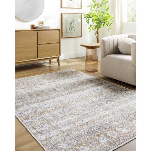 Surya Amelie AML-2400 Charcoal Medium Gray 2' x 2'11" Rug