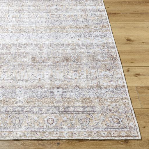 Surya Amelie AML-2400 Charcoal Medium Gray 2' x 2'11" Rug