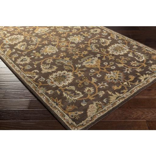 Surya Middleton AWMD-1002 Camel Dark Brown 2'3" x 10' Rug