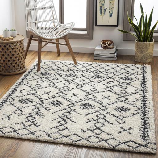 Surya Beni Shag BSH-2306 Black Cream 5'3" x 7' Rug