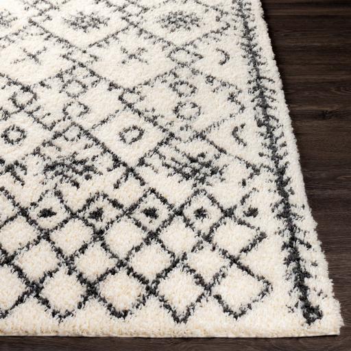 Surya Beni Shag BSH-2306 Black Cream 5'3" x 7' Rug