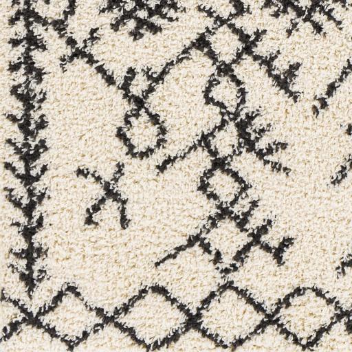 Surya Beni Shag BSH-2306 Black Cream 5'3" x 7' Rug