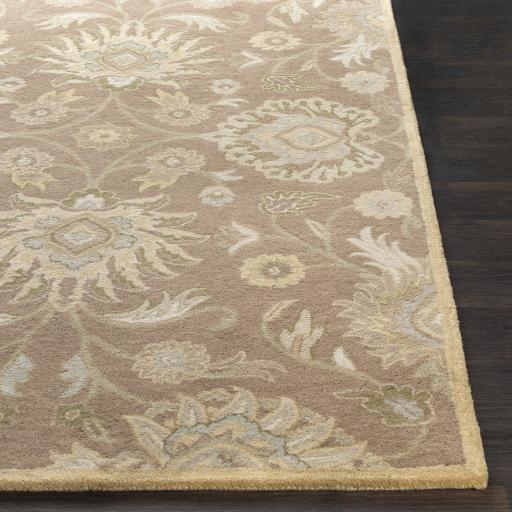 Surya Caesar CAE-1108 Ivory Light Brown 6' Square Rug