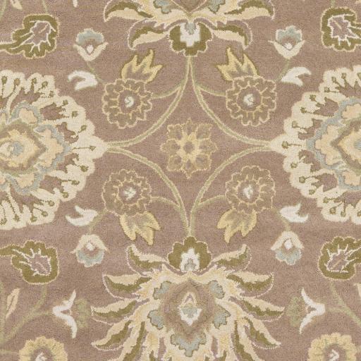 Surya Caesar CAE-1108 Ivory Light Brown 6' Square Rug