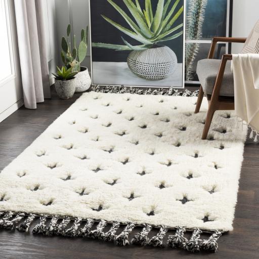 Surya Camille CME-2300 Black Cream 2' x 3' Rug