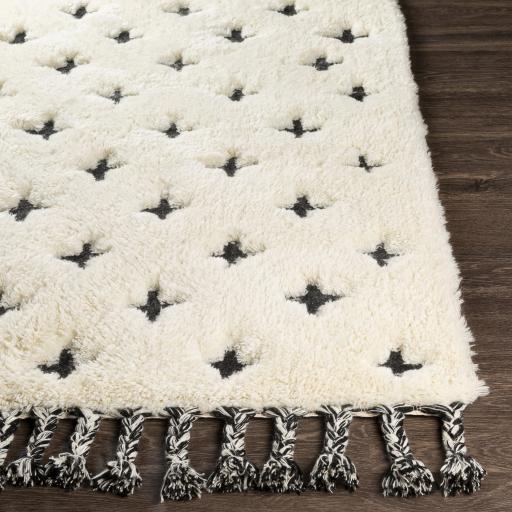 Surya Camille CME-2300 Black Cream 2' x 3' Rug