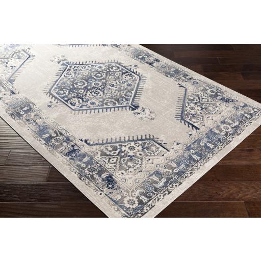 Surya Dublin DUB-2306 Aqua Black 2'7" x 4'11" Rug