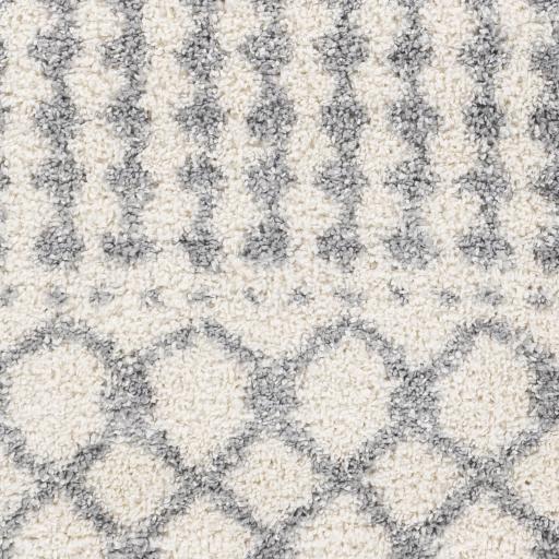 Surya Deluxe Shag DXS-2312 Medium Gray Off-White 7'10" x 10'3" Rug