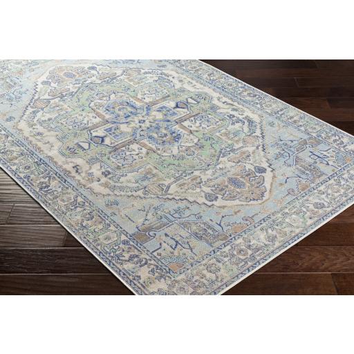 Surya Rafetus ETS-2373 Aqua Cream 5'3" x 7'7" Rug