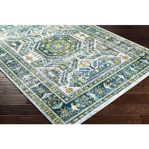 Surya Floransa FSA-2356 Aqua Cream 6'7" x 9' Rug