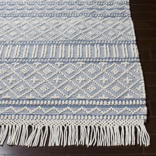 Surya Farmhouse Tassels FTS-2301 Blue White 5' x 7'6" Rug