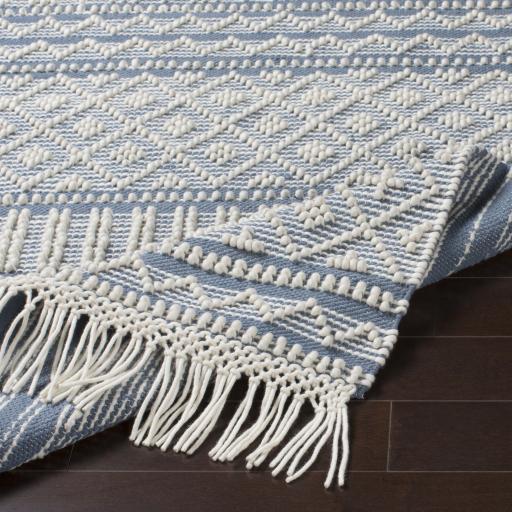 Surya Farmhouse Tassels FTS-2301 Blue White 5' x 7'6" Rug