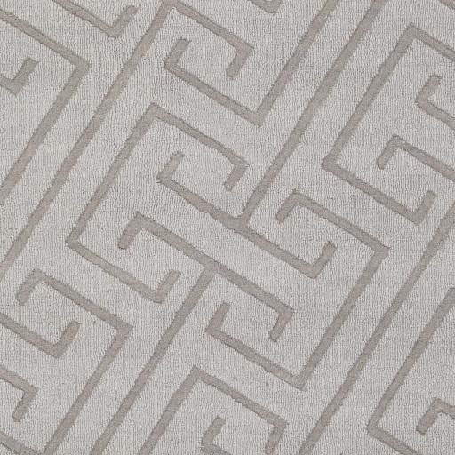 Surya Mystique M-5455 Light Gray 2' x 3' Rug