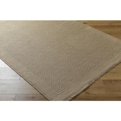 Surya Mystery MYS-2300 Beige Tan 2'3" x 3'9" Rug