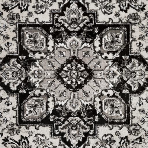 Surya Nova NVA-3042 Black Gray 2'2" x 2'11" Rug