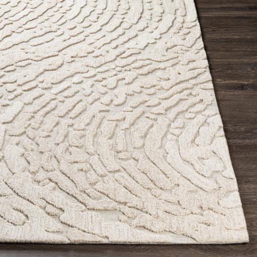 Surya Oakland OAA-1000 Beige Cream 2' x 3' Rug