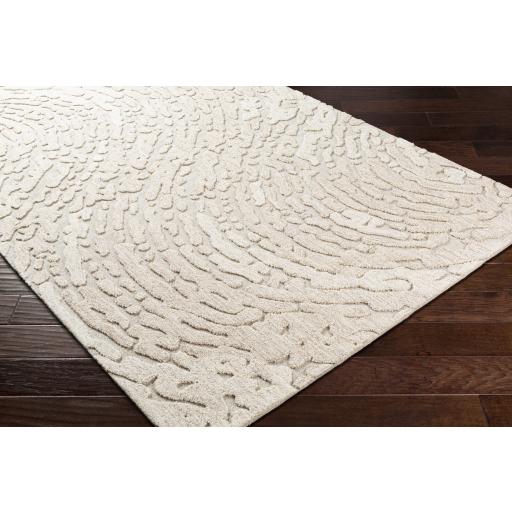 Surya Oakland OAA-1000 Beige Cream 2' x 3' Rug