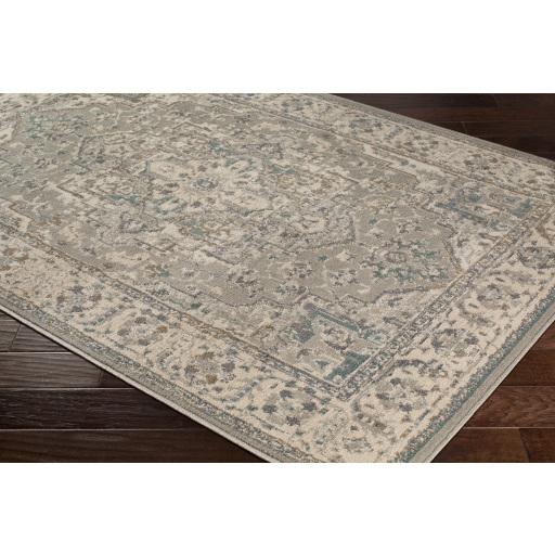 Surya Oslo OSL-2302 Beige Brown 7'10" x 10'2" Rug