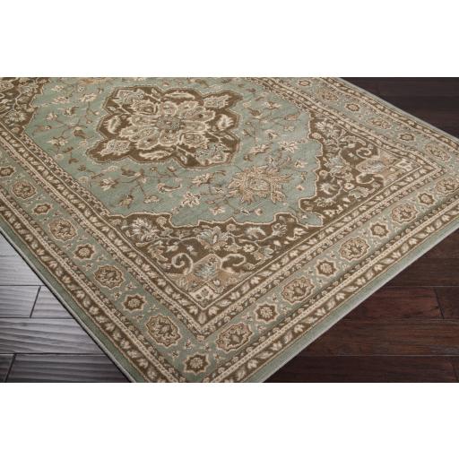 Surya Paramount PAR-1006 Dark Brown Light Beige 2'2" x 7'7" Rug