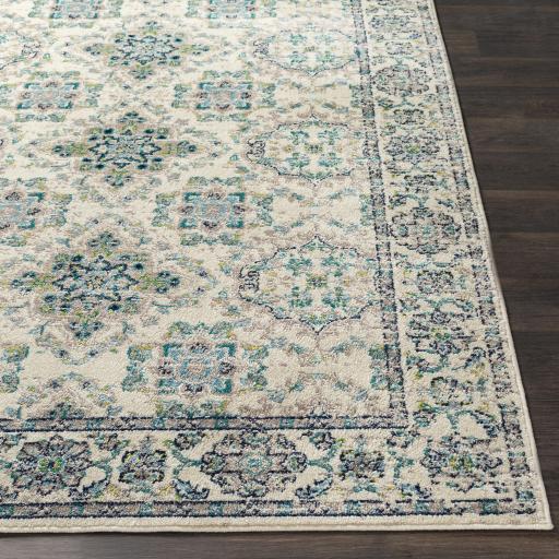 Surya Paramount PAR-1099 Aqua Cream 7'10" x 11'2" Rug