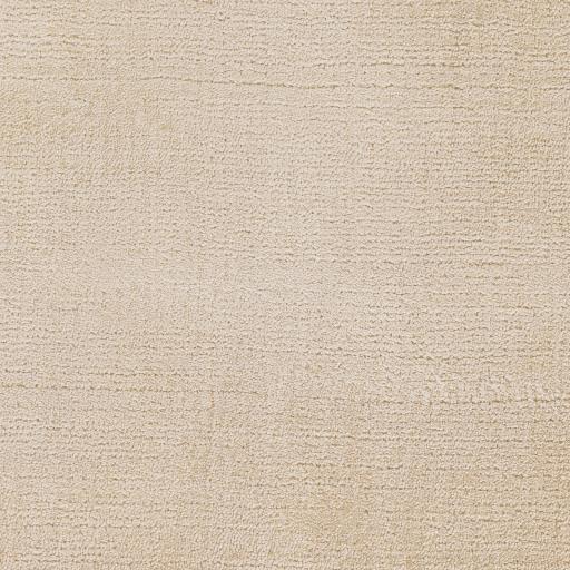 Surya Pandava PDV-1005 Beige 6" Swatch Rug