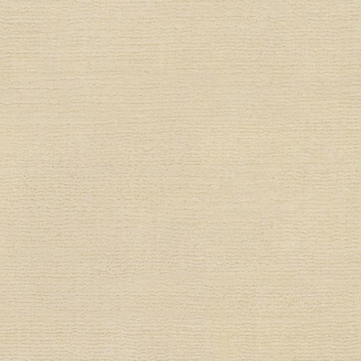 Surya Pandava PDV-1006 Ivory 18" Sample Rug