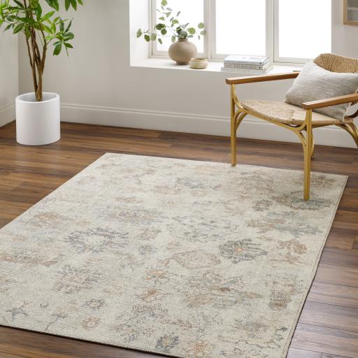 Surya Olympic PNWOL-2302 Charcoal Cream 2'2" x 3'9" Rug