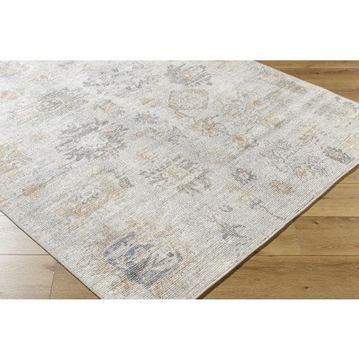 Surya Olympic PNWOL-2302 Charcoal Cream 2'2" x 3'9" Rug