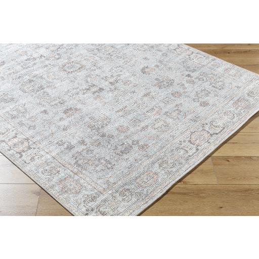 Surya Olympic PNWOL-2303 Brown Charcoal 2'2" x 3'9" Rug